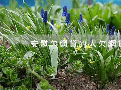 安慰欠網貸的人(欠網貸心理崩潰了)