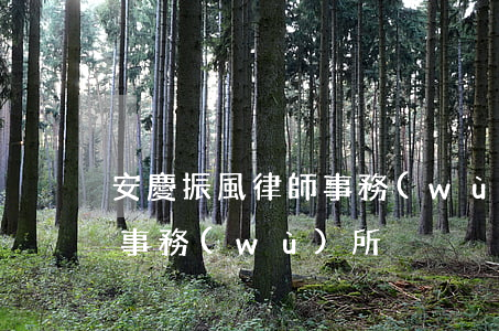 安慶振風律師事務(wù)所(安慶振風律師事務(wù)所)