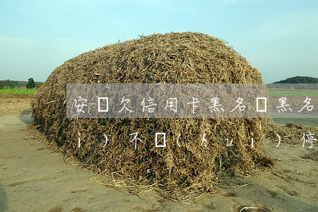 安慶欠信用卡黑名單(黑名單信用卡會(huì)不會(huì)停掉)