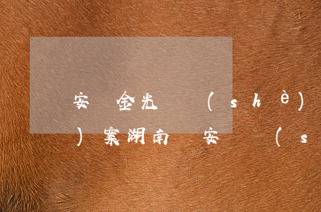 安慶金光開設(shè)賭場(chǎng)案(湖南東安開設(shè)賭場(chǎng)案件)