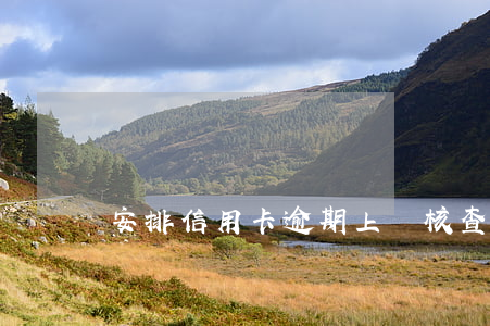 安排信用卡逾期上門核查的銀行