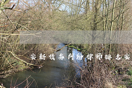 安新债务纠纷律师排名(安新县律师咨询)