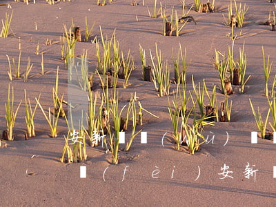 安新債務(wù)債權(quán)律師收費(fèi)(安新縣律師在線(xiàn))