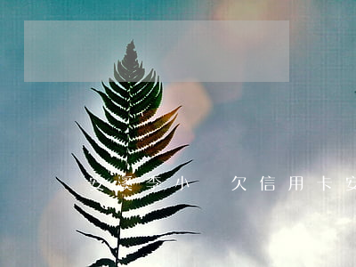 安溪李小龍欠信用卡 安遠李小龍
