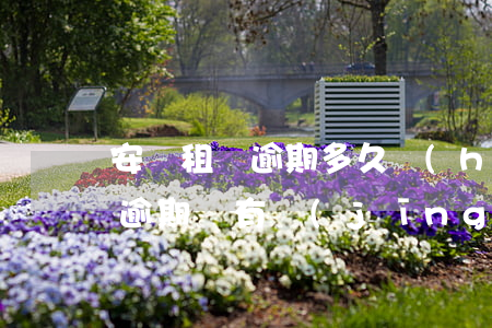 安潔租賃逾期多久會(huì)拖車(租賃車逾期沒有經(jīng)過法律拖車違法嗎)