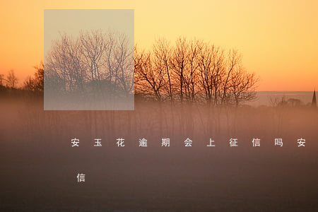 安玉花逾期会上征信吗(安鑫花逾期上不上征信)