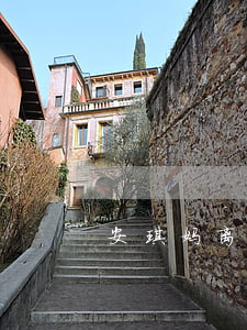 安琪妈离婚了吗(安又琪结过婚吗)