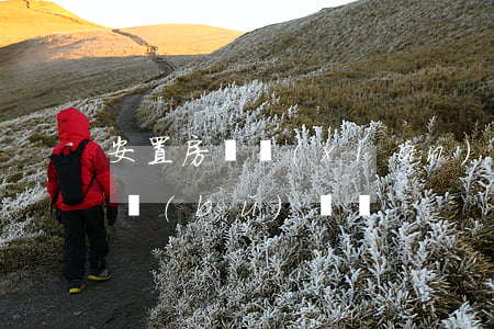 安置房兌現(xiàn)不了,能按市價貨幣補(bǔ)償嗎