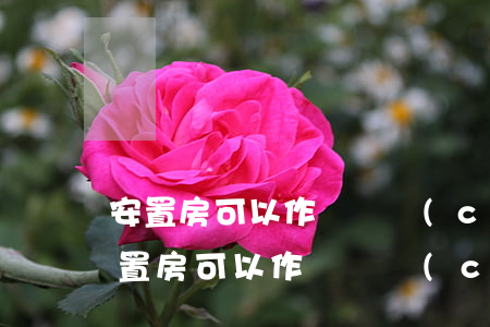 安置房可以作為遺產(chǎn)繼承嗎(安置房可以作為遺產(chǎn)繼承嗎)