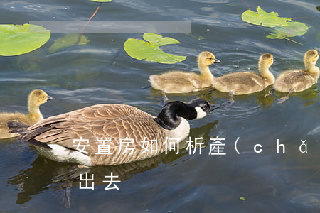 安置房如何析產(chǎn)(安置房怎么賣出去)