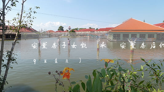 安置房子女能繼承嗎(安置房后代有繼承權(quán)嗎)