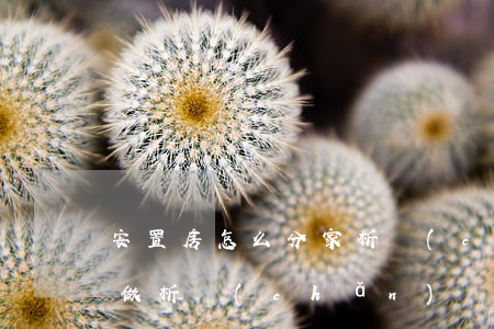 安置房怎么分家析產(chǎn)(房子怎么做析產(chǎn))