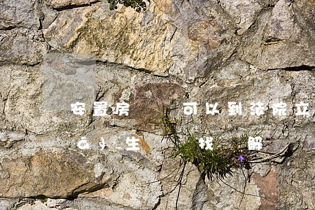 安置房糾紛可以到法院立案嗎(安置房發(fā)生糾紛找誰解決)