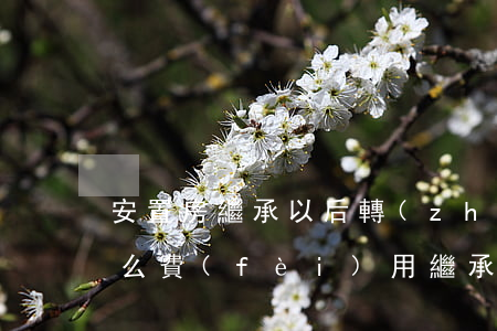 安置房繼承以后轉(zhuǎn)賣要交什么費(fèi)用(繼承的房子轉(zhuǎn)賣有哪些費(fèi)用)