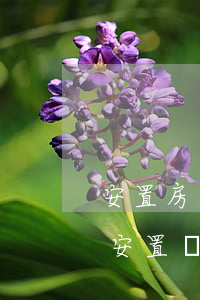 安置房補(bǔ)償合同糾紛(補(bǔ)償安置決定書(shū))