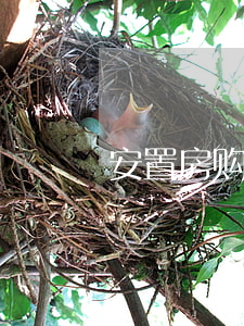 安置房购房协议书