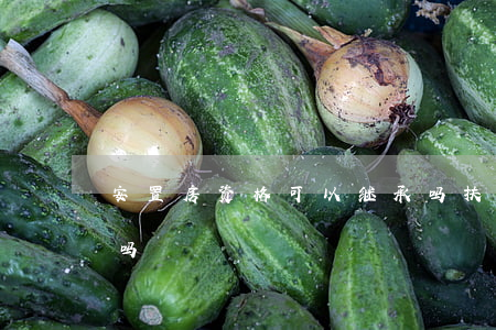 安置房资格可以继承吗(扶贫安置房可以继承吗)