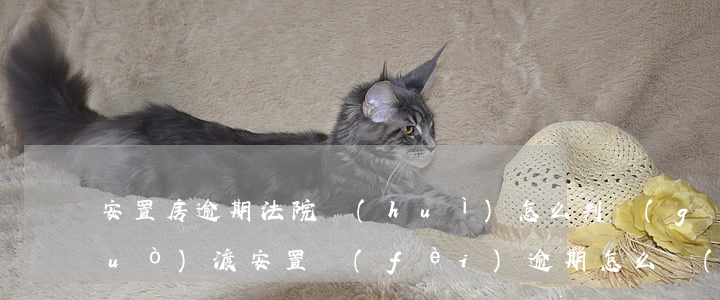 安置房逾期法院會(huì)怎么判(過(guò)渡安置費(fèi)逾期怎么補(bǔ)償)