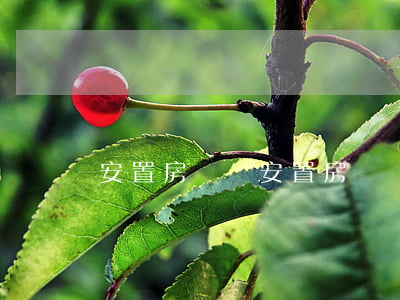安置房過戶(安置房過戶稅費)