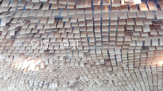 安置費逾期