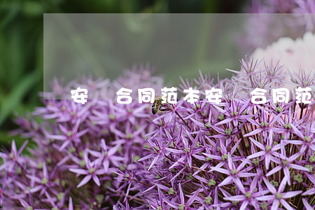 安裝合同范本,安裝合同范本 標準版 安裝合同范本,安裝合同范本 標準版