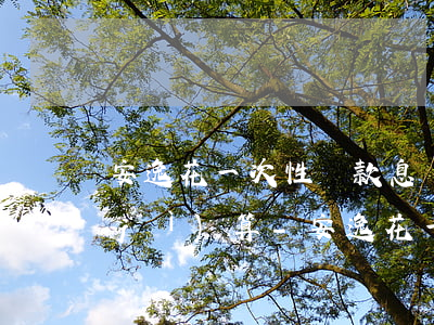 安逸花一次性還款息費(fèi)怎么計(jì)算-安逸花一次性還款息費(fèi)怎么計(jì)算出來(lái)的