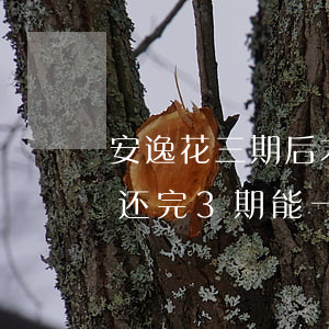 安逸花三期后才能一次性还款利息-安逸花还完3期能一次结清吗