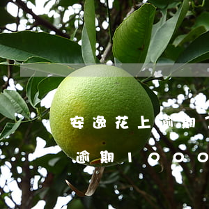 安逸花上逾期了两年多了会被起诉吗?（安逸花逾期1000多会起诉）