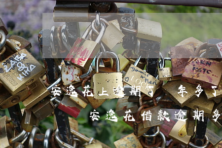 安逸花上逾期了兩年多了會(huì)被起訴嗎?（安逸花借款逾期多久就會(huì)起訴）