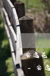 安逸花不支付工本費(fèi)需要還款嗎-安逸花不支付工本費(fèi)需要還款嗎