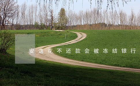 安逸花不还款会被冻结银行卡吗-