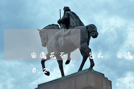 安逸花不還會怎么樣(安逸花不還會怎么樣2021)