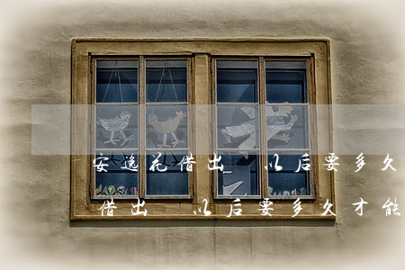 安逸花借出來以后要多久才能還款-安逸花借出來以后要多久才能還款呢