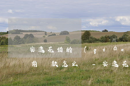 安逸花借的錢(qián)無(wú)法提前還款怎么辦-安逸花借的錢(qián)無(wú)法提前還款怎么辦呢