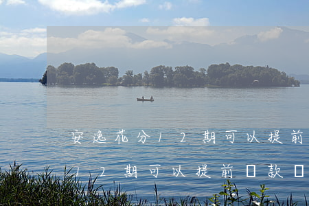 安逸花分12期可以提前還款嗎-安逸花分12期可以提前還款嗎違約金