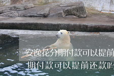 安逸花分期付款可以提前还款吗-安逸花分期付款可以提前还款吗