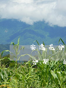 安逸花分期還款是支付寶還款嗎-安逸花是分期還的嗎