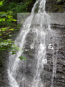安逸花協商還款后復借-安逸花協商還款后復借
