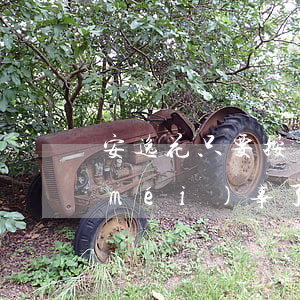 安逸花只要按時(shí)還款還完就沒(méi)事了-安逸花只要按時(shí)還款還完就沒(méi)事了?