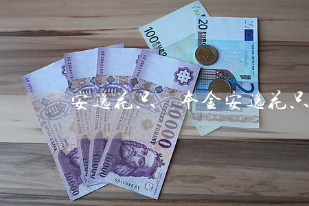 安逸花只還本金(安逸花只還本金要先改金額嗎)