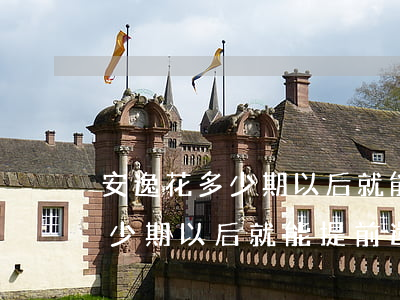 安逸花多少期以后就能提前還款-安逸花多少期以后就能提前還款了