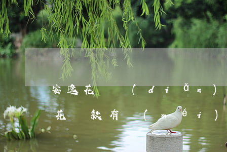 安逸花幾點(diǎn)還款不算逾期(安逸花還款有沒(méi)有寬限期)