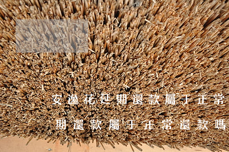 安逸花延期還款屬于正常還款嗎-安逸花延期還款屬于正常還款嗎