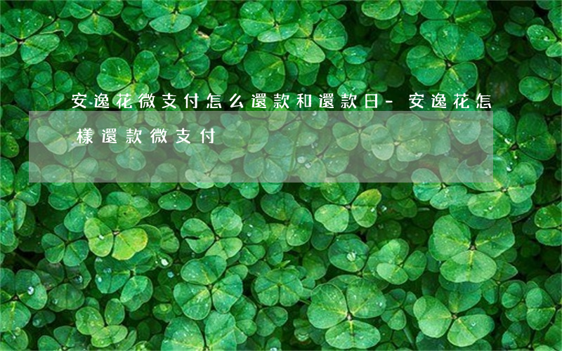 安逸花微支付怎么還款和還款日-安逸花怎樣還款微支付