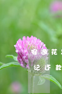 安逸花忘记还款逾期一天会怎样-安逸花忘记还款逾期一天会怎样处理