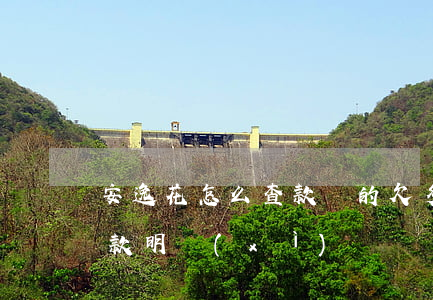 安逸花怎么查款總的欠多少(安逸花怎么看還款明細(xì))