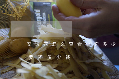 安逸花怎么查看欠它多少钱(如何查安逸花还要还多少钱)