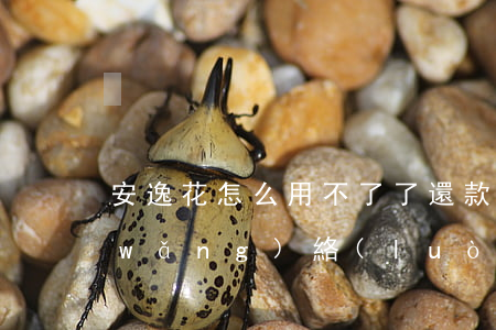 安逸花怎么用不了了還款沒(méi)網(wǎng)絡(luò)-安逸花沒(méi)網(wǎng)怎么回事