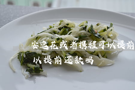 安逸花或者携程可以提前还款么-安逸花可以提前还款吗?