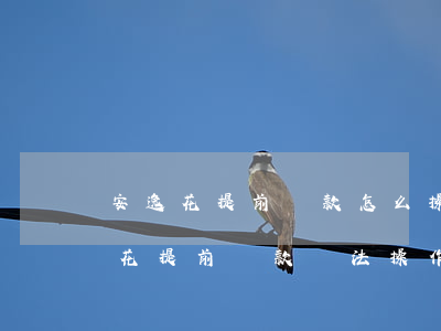 安逸花提前還款怎么操作不了，如何解決安逸花提前還款無法操作的問題？